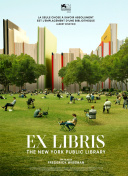 炉石传说手游版评测：移动平台的最新体验